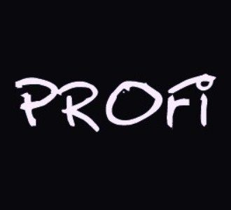 ПРОФИ, Компания по разработке и продвижению сайтов