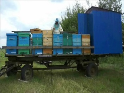 Пасека Здоровья Букиных, Продажа мёда и продуктов пчеловодства