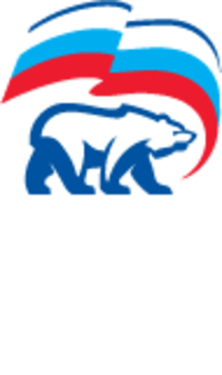 Единая Россия, Всероссийская политическая партия